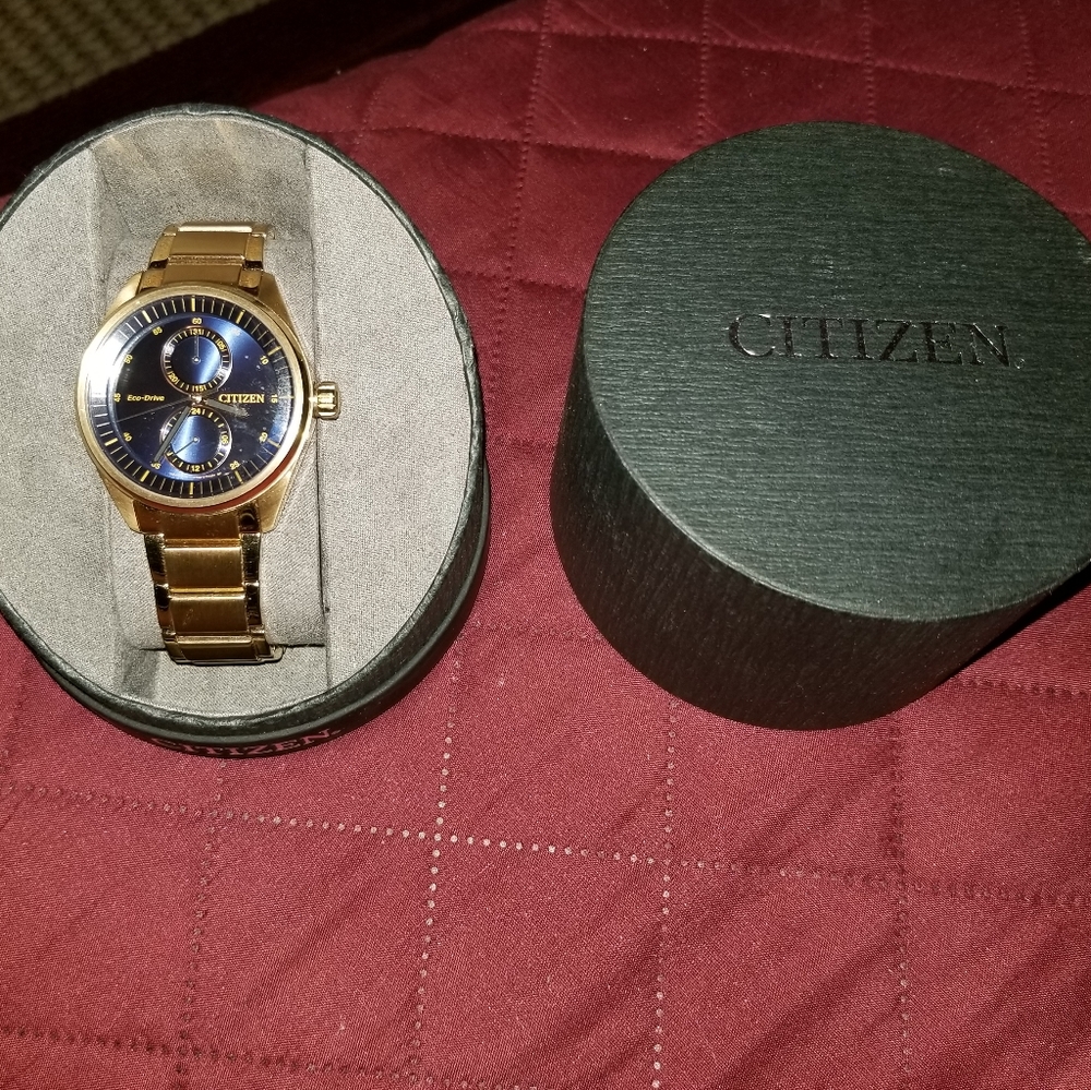 Men's Citizen Eco-Drive Watch